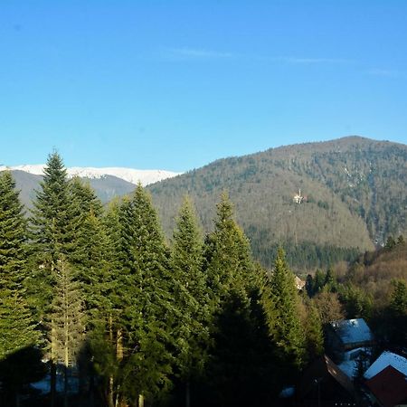 Grandpa'S Hidden Crib, 6 Bedroom, Pet Friendly Sinaia Luaran gambar
