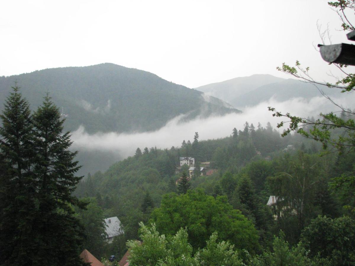 Grandpa'S Hidden Crib, 6 Bedroom, Pet Friendly Sinaia Luaran gambar