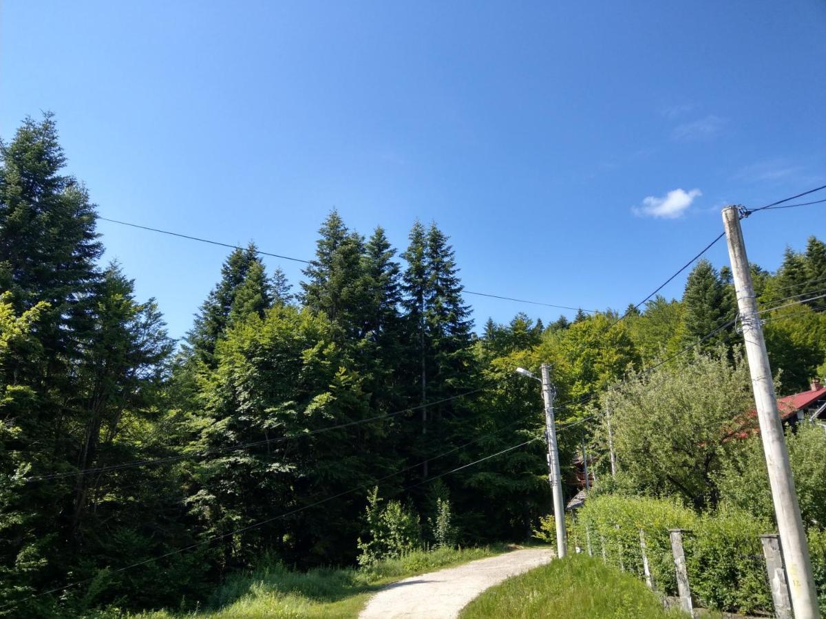 Grandpa'S Hidden Crib, 6 Bedroom, Pet Friendly Sinaia Luaran gambar