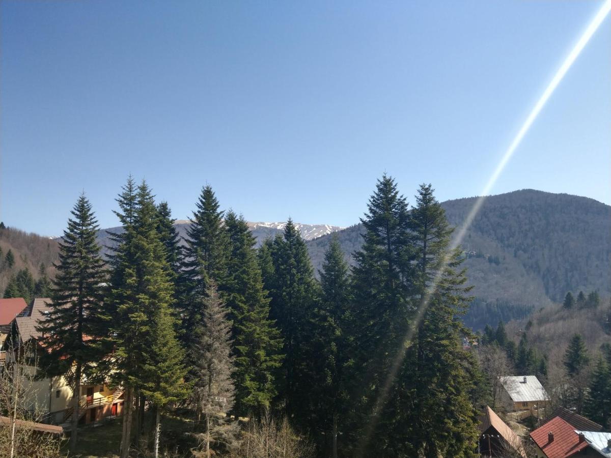 Grandpa'S Hidden Crib, 6 Bedroom, Pet Friendly Sinaia Luaran gambar
