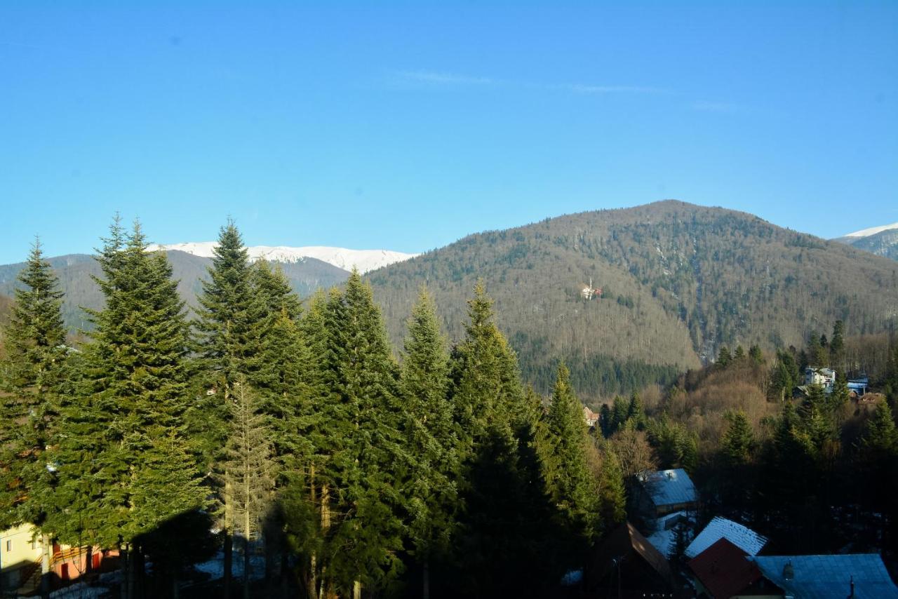 Grandpa'S Hidden Crib, 6 Bedroom, Pet Friendly Sinaia Luaran gambar