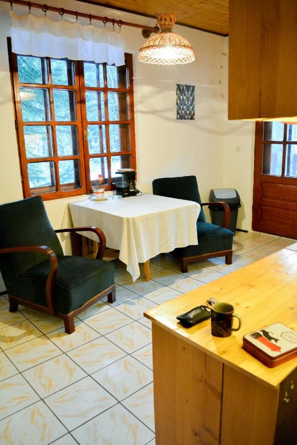 Grandpa'S Hidden Crib, 6 Bedroom, Pet Friendly Sinaia Luaran gambar