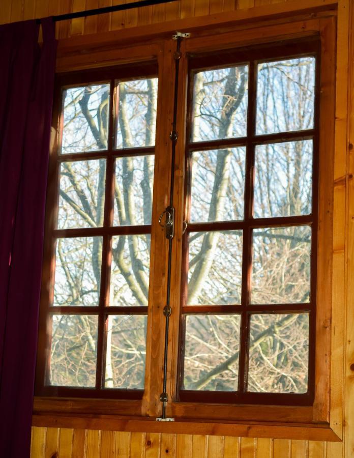 Grandpa'S Hidden Crib, 6 Bedroom, Pet Friendly Sinaia Luaran gambar