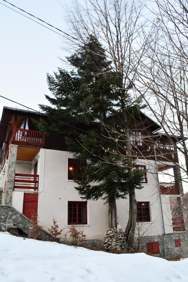 Grandpa'S Hidden Crib, 6 Bedroom, Pet Friendly Sinaia Luaran gambar
