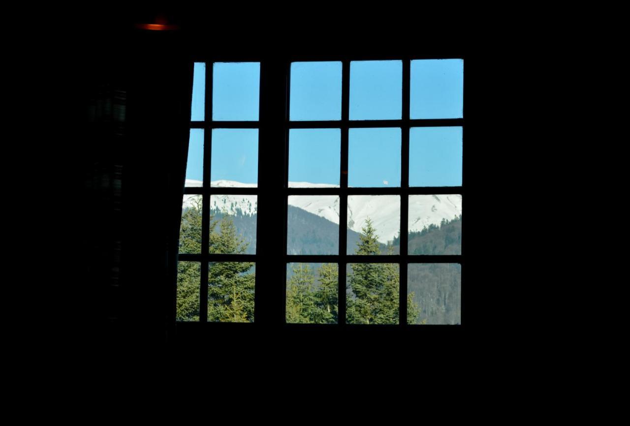 Grandpa'S Hidden Crib, 6 Bedroom, Pet Friendly Sinaia Luaran gambar